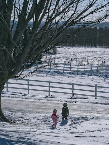 Playing In Snow Playing In Snow