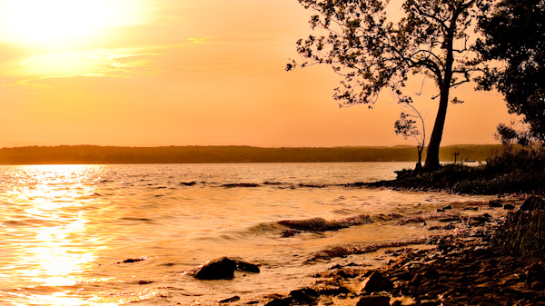 Sandy Cove