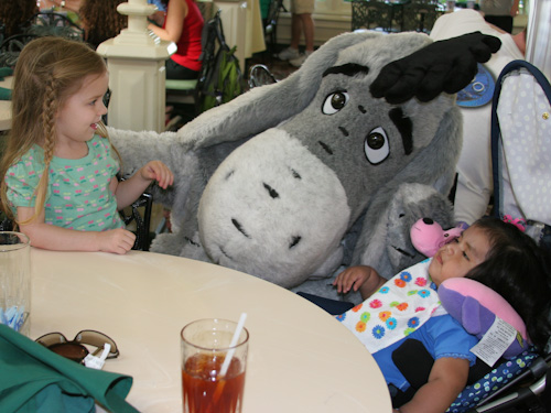 Lauren, Eeyore and Carmen. Tigger bounced right up to say hi!