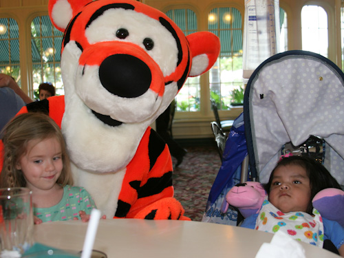 Lauren, Tigger and Carmen