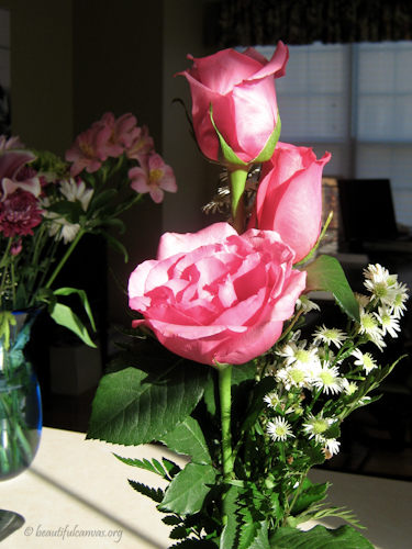 Flowers From Uncle Wes, Aunt Karen and Cousins Dakota, Kadin and Kasey