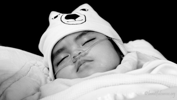 Carmen asleep with polar bear hat Carmen asleep with polar bear hat