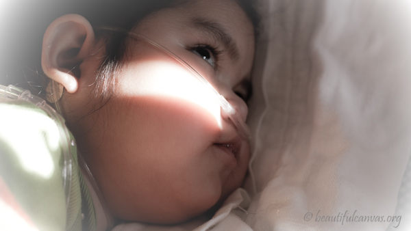 Carmen Looking Toward the Light Carmen Looking Toward the Light