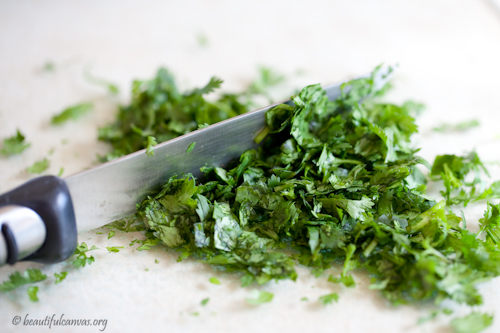 Cilantro