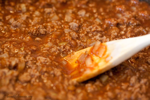 Hamburger plus spices