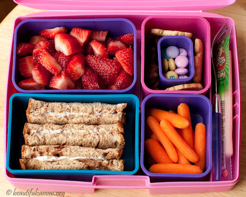 Laptop Lunchbox Laptop Lunchbox