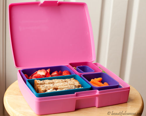 Laptop Lunchbox Laptop Lunchbox