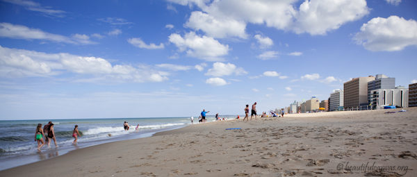 Virginia Beach scene Virginia Beach scene