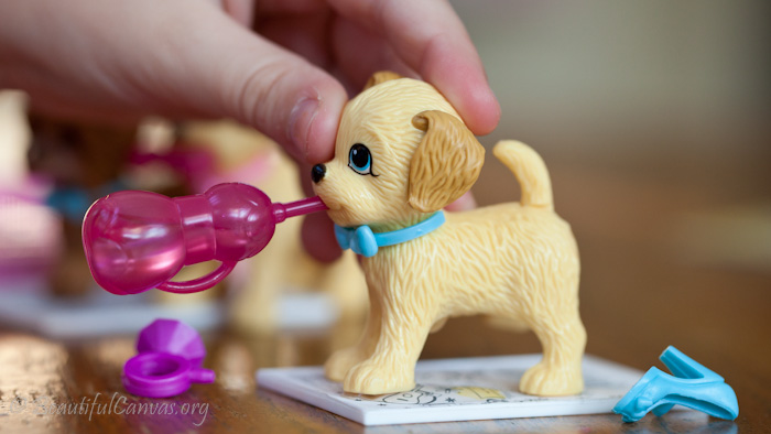 Dog drinking bottle