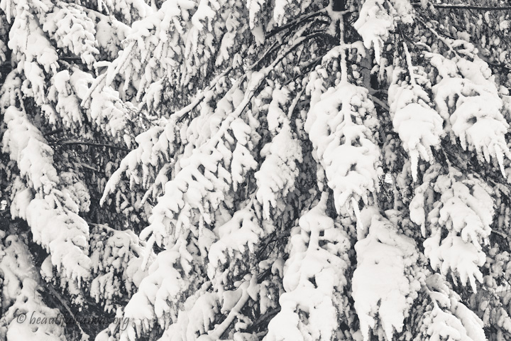 Snow
