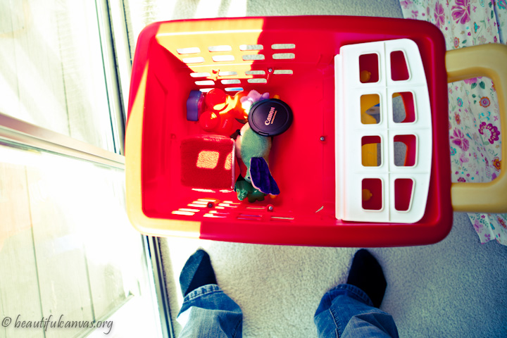 Grocery Cart