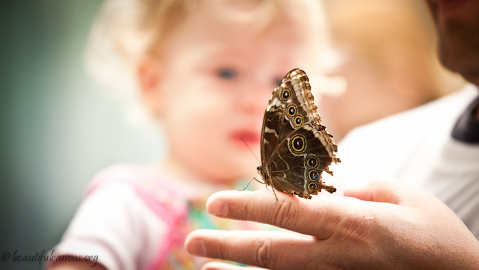 Hope and the butterfly