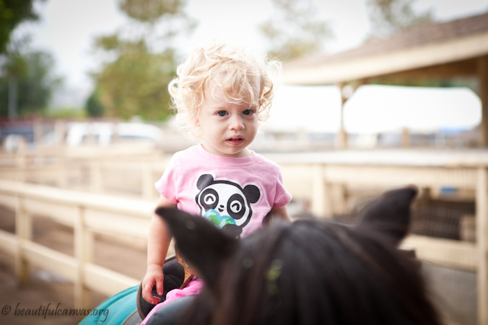 Hope not so happy on the horse