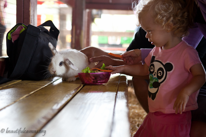 Hope with a rabbit