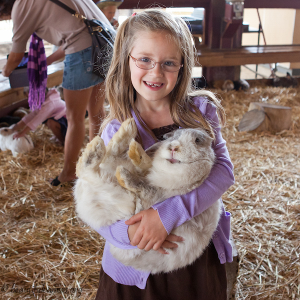 Big rabbit!