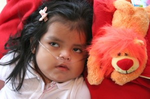 Carmen and lion blanket from Dee