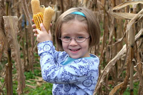 Lauren finding corn