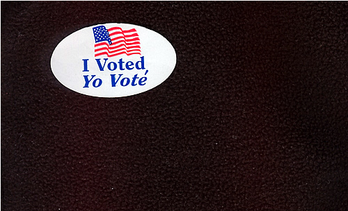 I Voted